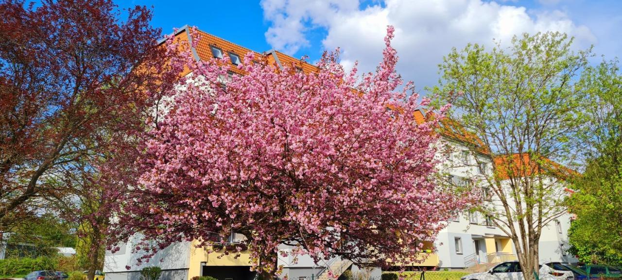 Moderne Wohlfuehlferienwohnung In Hildburghausen Eksteriør billede